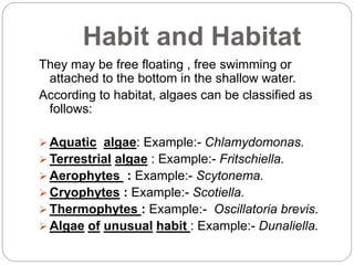 Uncommon Habit Examples General characteristics of algae | PPTX