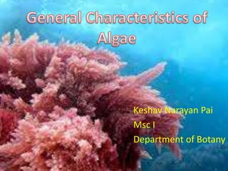 Keshav Narayan Pai
Msc I
Department of Botany
 