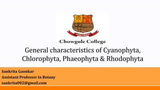 General characteristics of Cyanophyta,
Chlorophyta, Phaeophyta & Rhodophyta
Sankrita Gaonkar
Assistant Professor in Botany
sankrita002@gmail.com
 