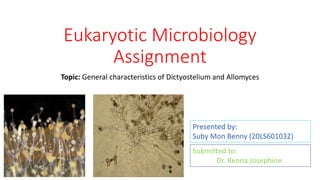 Eukaryotic Microbiology
Assignment
Topic: General characteristics of Dictyostelium and Allomyces
Submitted to:
Dr. Renna Josephine
Presented by:
Suby Mon Benny (20LS601032)
 