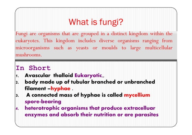 General characteristics of fungi | PDF