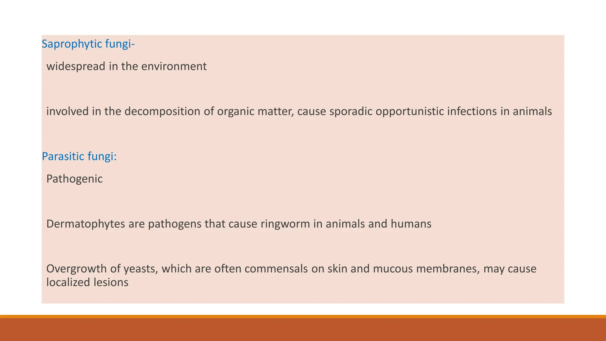 General_characteristics_of_Fungi.pdf............... | PDF