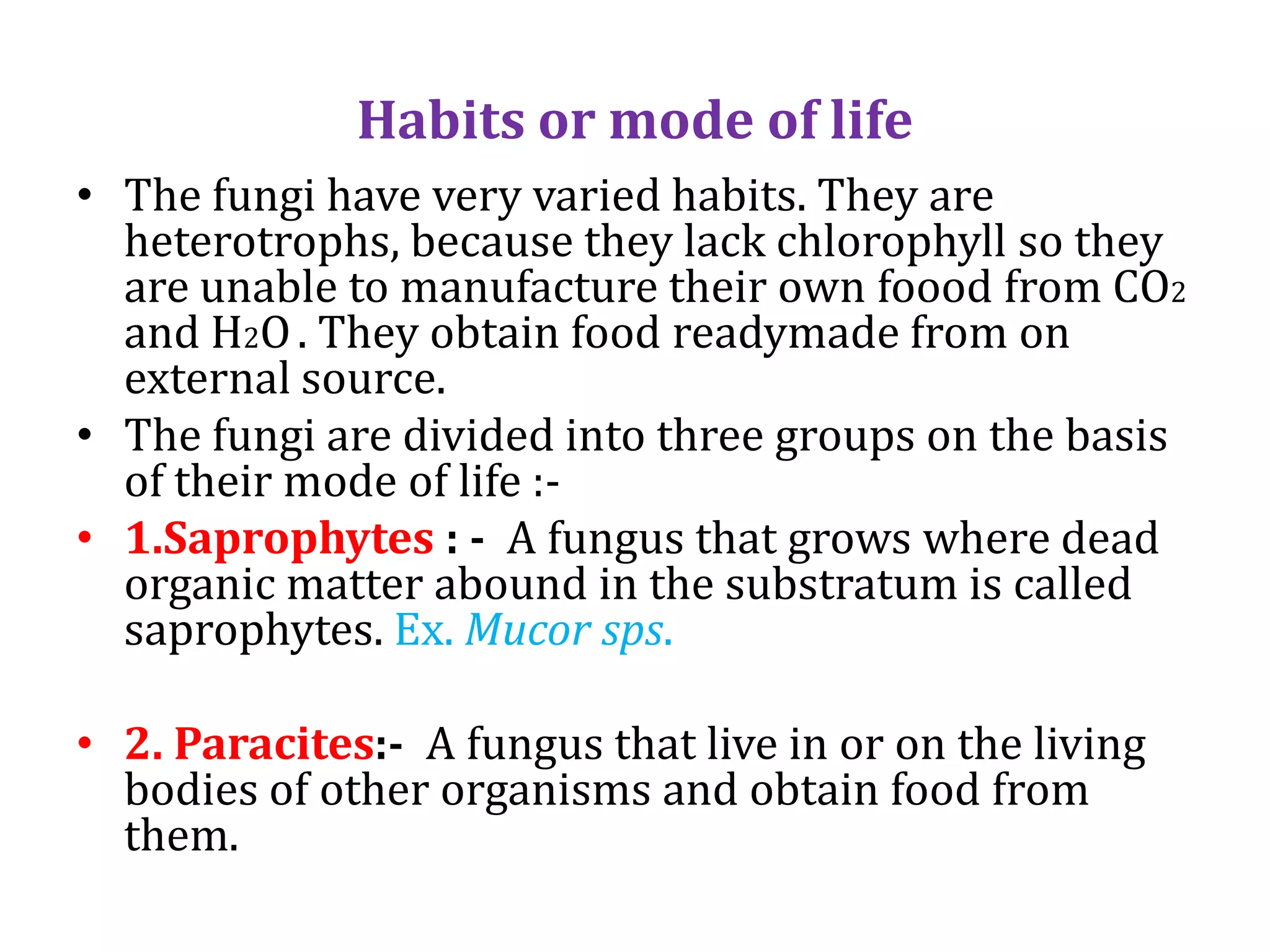 General characteristics of fungi by rk | PDF