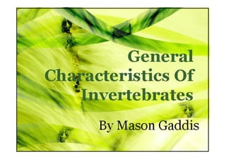 General characteristics of invertebrates