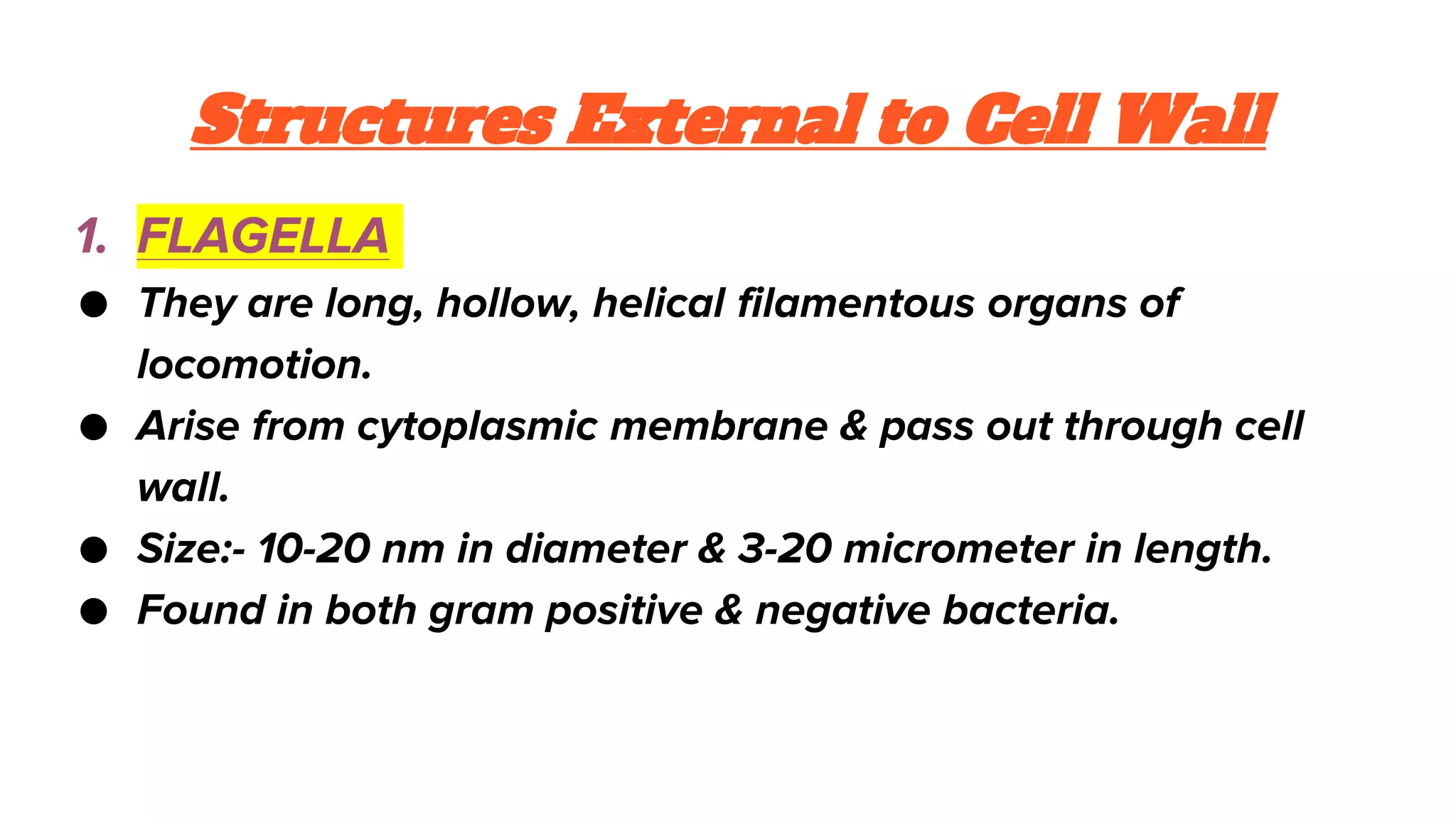 General Characteristics of microbes.pptx