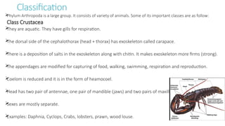 General characteristics of Phylum Annelida _ Arthropoda.pptx