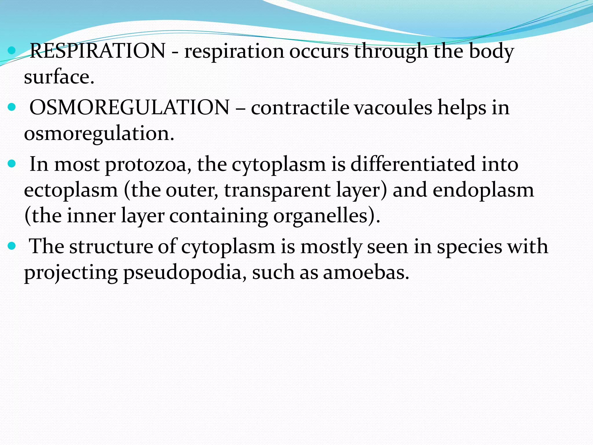 General characteristics of protozoa | PPTX