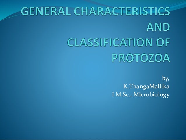 General Characteristics Of Protozoa