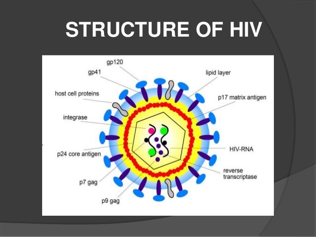 General characteristics of virus