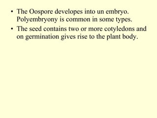 • The Oospore developes into un embryo.
Polyembryony is common in some types.
• The seed contains two or more cotyledons and
on germination gives rise to the plant body.
 