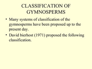 CLASSIFICATION OF
GYMNOSPERMS
• Many systems of classification of the
gymnosperms have been proposed up to the
present day.
• David bierhost (1971) proposed the following
classification.
 