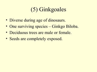 (5) Ginkgoales
• Diverse during age of dinosaurs.
• One surviving species – Ginkgo Biloba.
• Deciduous trees are male or female.
• Seeds are completely exposed.
 