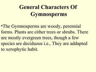 General Characters Of
Gymnosperms
•The Gymnosperms are woody, perennial
forms. Plants are either trees or shrubs. There
are mostly evergreen trees, though a few
species are deciduous i.e., They are addapted
to xerophytic habit.
 
