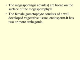 • The megasporangia (ovules) are borne on the
surface of the megasporophyll.
• The female gametophyte consists of a well
developed vegetative tissue, endosperm.It has
two or more archegonia.
 