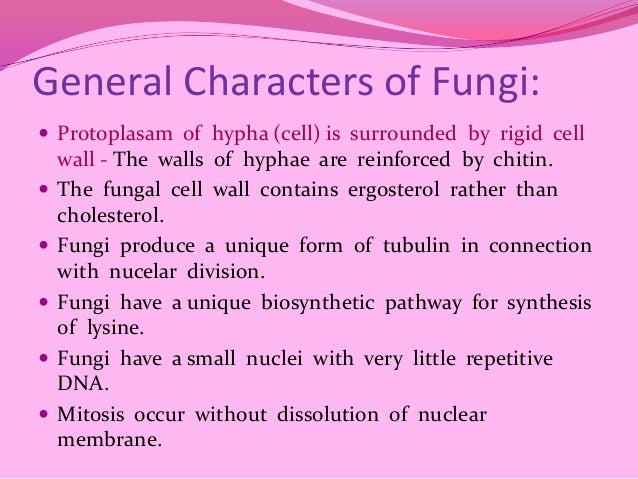 General Charactersistics Of Fungi
