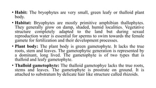 • Habit: The bryophytes are very small, green leafy or thalloid plant
body.
• Habitat: Bryophytes are mostly primitive amphibian thallophytes.
They generally grow on damp, shaded, humid localities. Vegetative
structure completely adapted to the land but during sexual
reproduction water is essential for sperms to swim towards the female
gamete for fertilization and their development processes.
• Plant body: The plant body is green gametophyte. It lacks the true
roots, stem and leaves. The gametophytic generation is represented by
a dominant, long lived. The gametophyte is of two types that is
thalloid and leafy gametophyte.
• Thalloid gametophyte: The thalloid gametophye lacks the true roots,
stems and leaves. The gametophyte is prostrate on ground. It is
attached to substratum by delicate hair like structure called rhizoids.
 