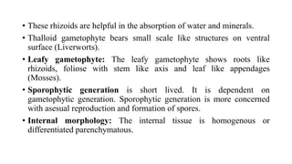 • These rhizoids are helpful in the absorption of water and minerals.
• Thalloid gametophyte bears small scale like structures on ventral
surface (Liverworts).
• Leafy gametophyte: The leafy gametophyte shows roots like
rhizoids, foliose with stem like axis and leaf like appendages
(Mosses).
• Sporophytic generation is short lived. It is dependent on
gametophytic generation. Sporophytic generation is more concerned
with asesual reproduction and formation of spores.
• Internal morphology: The internal tissue is homogenous or
differentiated parenchymatous.
 