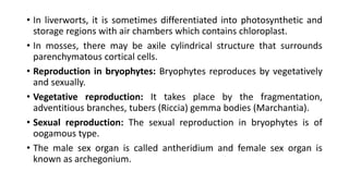 • In liverworts, it is sometimes differentiated into photosynthetic and
storage regions with air chambers which contains chloroplast.
• In mosses, there may be axile cylindrical structure that surrounds
parenchymatous cortical cells.
• Reproduction in bryophytes: Bryophytes reproduces by vegetatively
and sexually.
• Vegetative reproduction: It takes place by the fragmentation,
adventitious branches, tubers (Riccia) gemma bodies (Marchantia).
• Sexual reproduction: The sexual reproduction in bryophytes is of
oogamous type.
• The male sex organ is called antheridium and female sex organ is
known as archegonium.
 