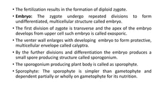 • The fertilization results in the formation of diploid zygote.
• Embryo: The zygote undergo repeated divisions to form
undifferentiated, multicellular structure called embryo.
• The first division of zygote is transverse and the apex of the embryo
develops from upper cell such embryo is called exosporic.
• The venter wall enlarges with developing embryo to form protective,
multicellular envelope called calyptra.
• By the further divisions and differentiation the embryo produces a
small spore producing structure called sporogonium.
• The sporogonium producing plant body is called as sporophyte.
• Sporophyte: The sporophyte is simpler than gametophyte and
dependent partially or wholly on gametophyte for its nutrition.
 