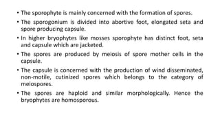 • The sporophyte is mainly concerned with the formation of spores.
• The sporogonium is divided into abortive foot, elongated seta and
spore producing capsule.
• In higher bryophytes like mosses sporophyte has distinct foot, seta
and capsule which are jacketed.
• The spores are produced by meiosis of spore mother cells in the
capsule.
• The capsule is concerned with the production of wind disseminated,
non-motile, cutinized spores which belongs to the category of
meiospores.
• The spores are haploid and similar morphologically. Hence the
bryophytes are homosporous.
 