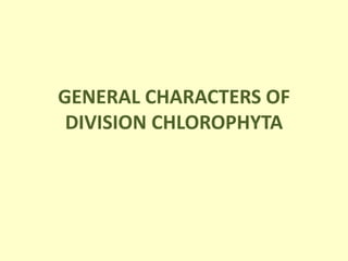 GENERAL CHARACTERS OF
DIVISION CHLOROPHYTA
 