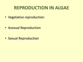 REPRODUCTION IN ALGAE
Alternation of Generation
Alga
(n)
Male Gametangia
(n)
Gamets
(n)
Zygote
(2n)
Zygospore
(2n)
Female ...