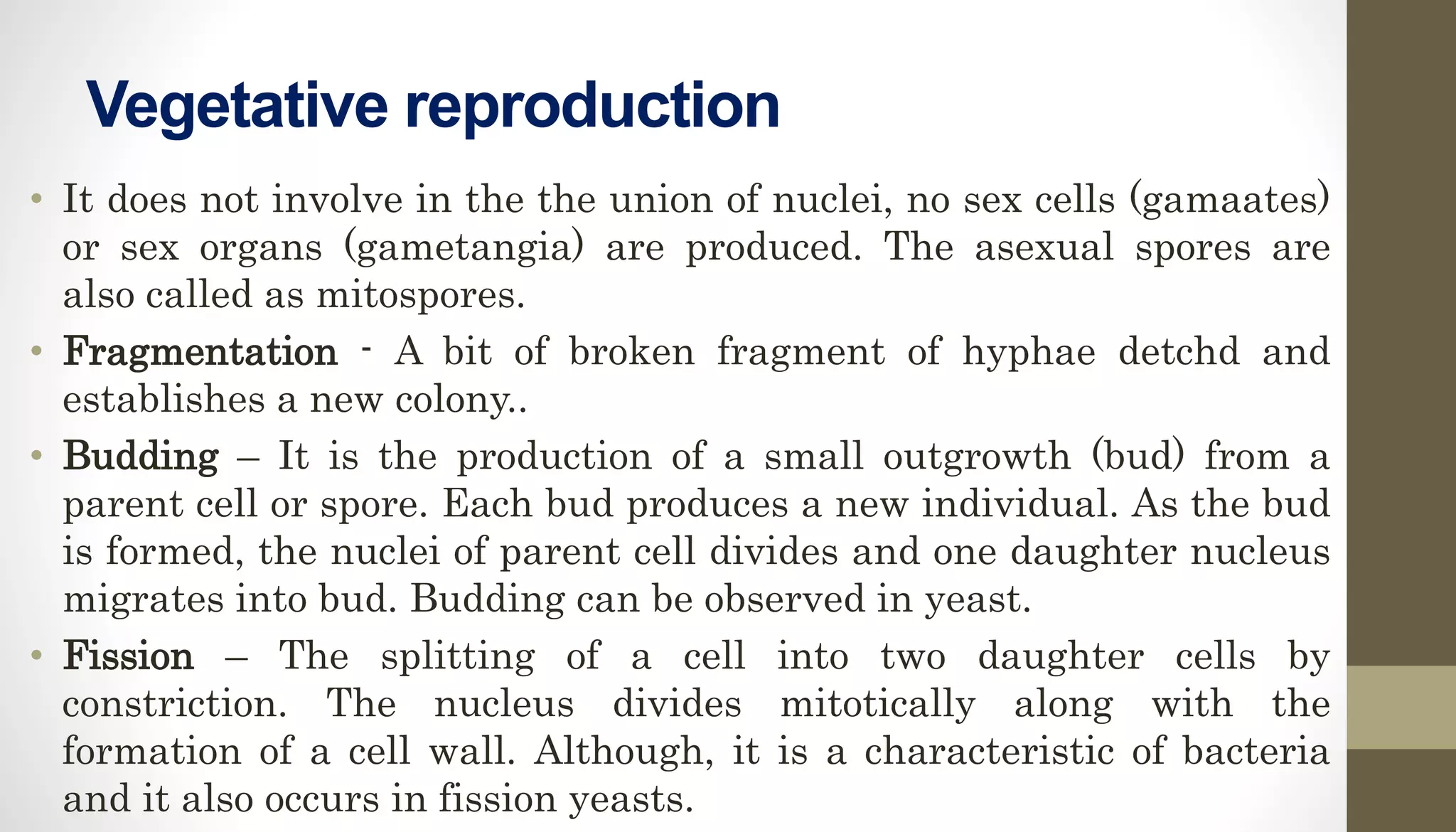 Vegetative reproduction
• It does not involve in the the union of nuclei, no sex cells (gamaates)
or sex organs (gametangia) are produced. The asexual spores are
also called as mitospores.
• Fragmentation - A bit of broken fragment of hyphae detchd and
establishes a new colony..
• Budding – It is the production of a small outgrowth (bud) from a
parent cell or spore. Each bud produces a new individual. As the bud
is formed, the nuclei of parent cell divides and one daughter nucleus
migrates into bud. Budding can be observed in yeast.
• Fission – The splitting of a cell into two daughter cells by
constriction. The nucleus divides mitotically along with the
formation of a cell wall. Although, it is a characteristic of bacteria
and it also occurs in fission yeasts.
 