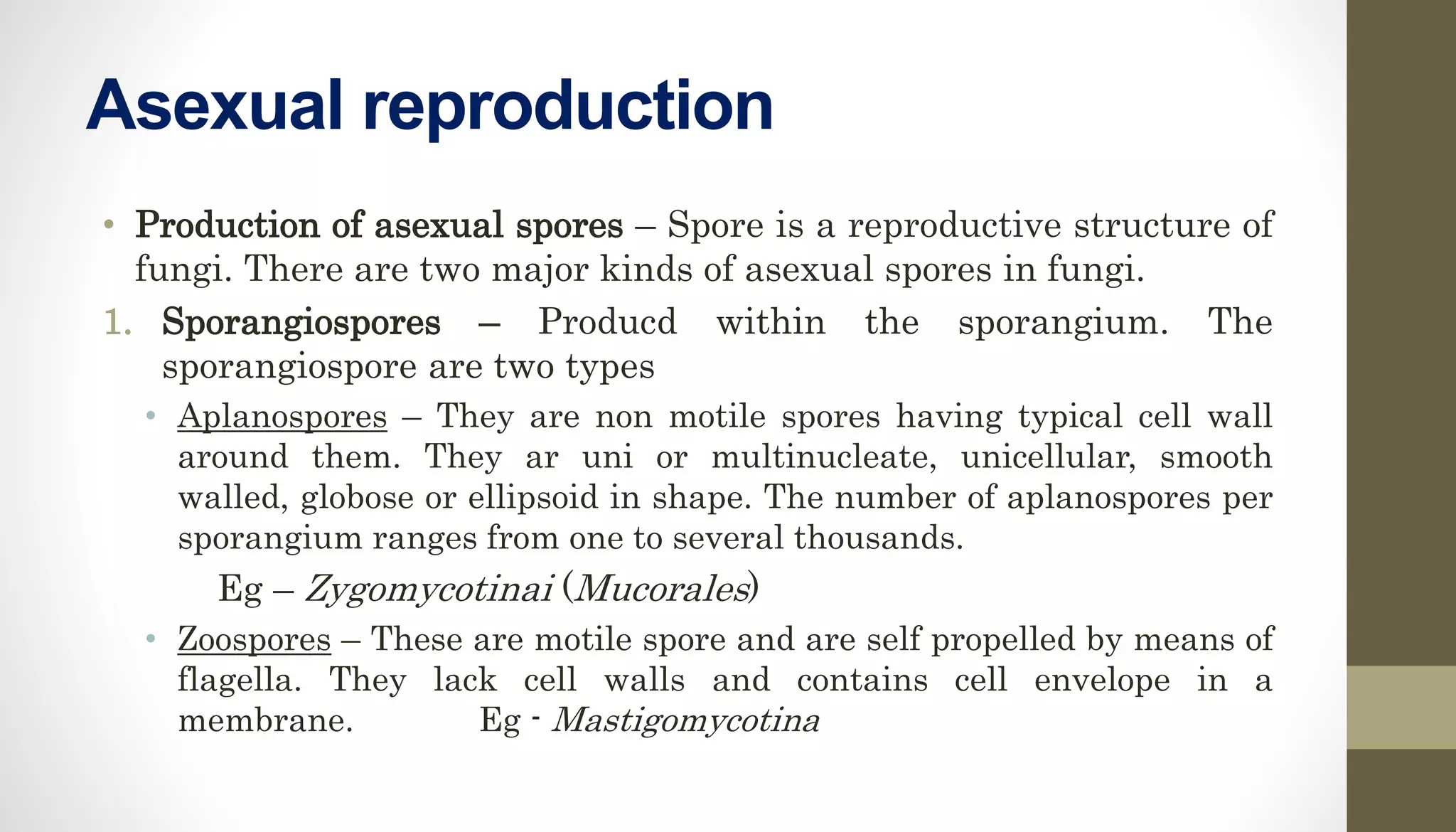 Asexual reproduction
• Production of asexual spores – Spore is a reproductive structure of
fungi. There are two major kinds of asexual spores in fungi.
1. Sporangiospores – Producd within the sporangium. The
sporangiospore are two types
• Aplanospores – They are non motile spores having typical cell wall
around them. They ar uni or multinucleate, unicellular, smooth
walled, globose or ellipsoid in shape. The number of aplanospores per
sporangium ranges from one to several thousands.
Eg – Zygomycotinai (Mucorales)
• Zoospores – These are motile spore and are self propelled by means of
flagella. They lack cell walls and contains cell envelope in a
membrane. Eg - Mastigomycotina
 