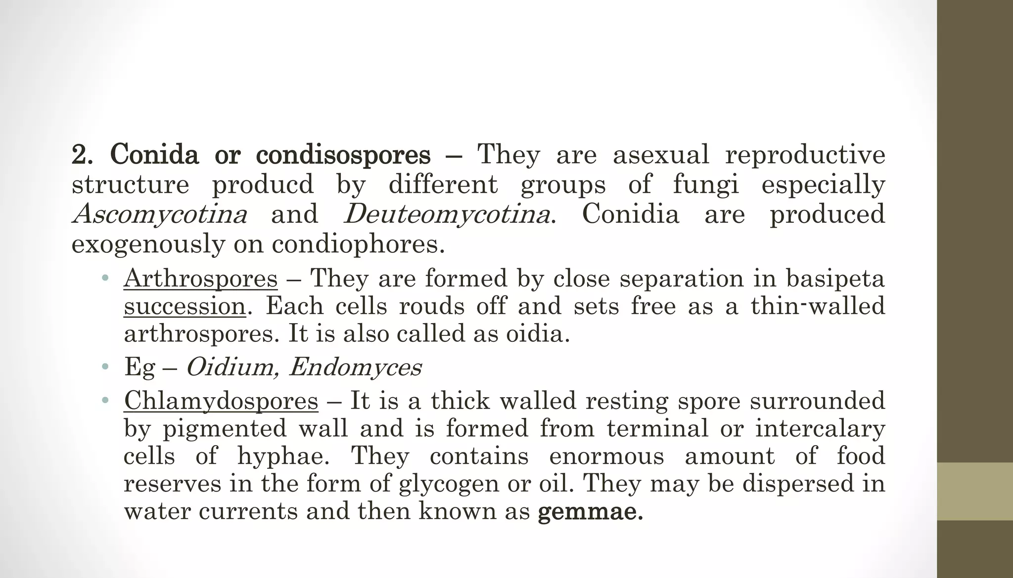 2. Conida or condisospores – They are asexual reproductive
structure producd by different groups of fungi especially
Ascomycotina and Deuteomycotina. Conidia are produced
exogenously on condiophores.
• Arthrospores – They are formed by close separation in basipeta
succession. Each cells rouds off and sets free as a thin-walled
arthrospores. It is also called as oidia.
• Eg – Oidium, Endomyces
• Chlamydospores – It is a thick walled resting spore surrounded
by pigmented wall and is formed from terminal or intercalary
cells of hyphae. They contains enormous amount of food
reserves in the form of glycogen or oil. They may be dispersed in
water currents and then known as gemmae.
 