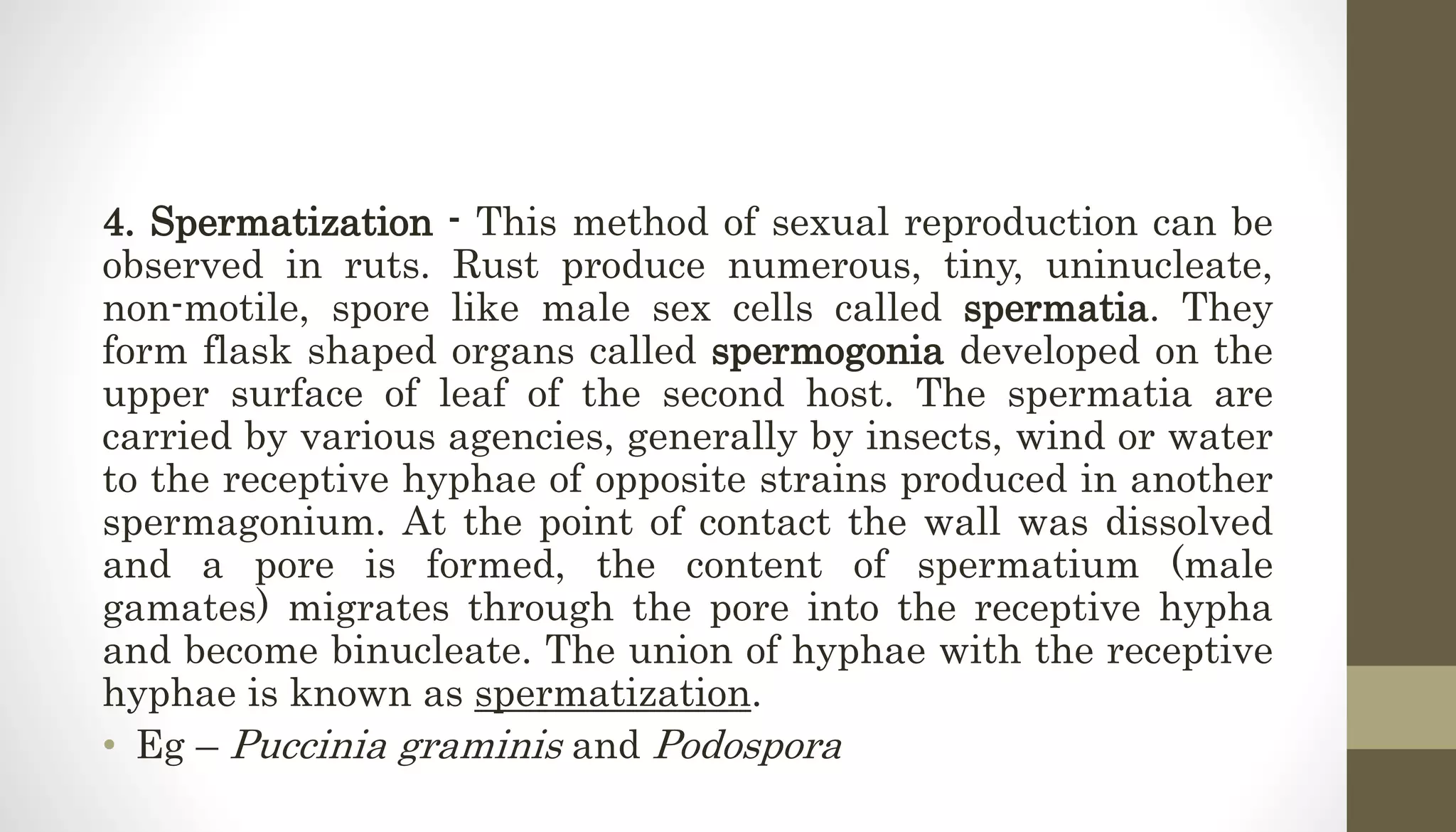 4. Spermatization - This method of sexual reproduction can be
observed in ruts. Rust produce numerous, tiny, uninucleate,
non-motile, spore like male sex cells called spermatia. They
form flask shaped organs called spermogonia developed on the
upper surface of leaf of the second host. The spermatia are
carried by various agencies, generally by insects, wind or water
to the receptive hyphae of opposite strains produced in another
spermagonium. At the point of contact the wall was dissolved
and a pore is formed, the content of spermatium (male
gamates) migrates through the pore into the receptive hypha
and become binucleate. The union of hyphae with the receptive
hyphae is known as spermatization.
• Eg – Puccinia graminis and Podospora
 