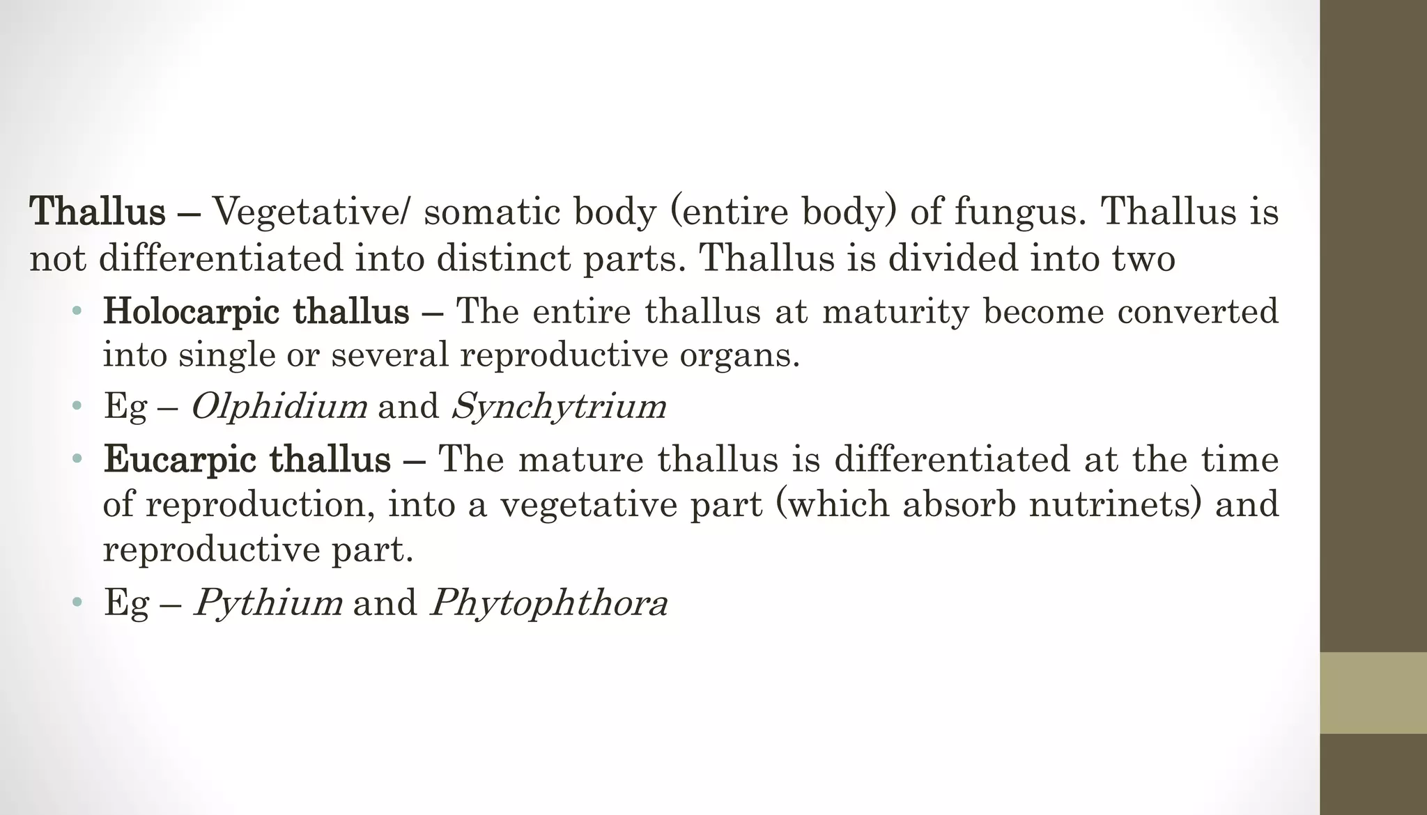 Thallus – Vegetative/ somatic body (entire body) of fungus. Thallus is
not differentiated into distinct parts. Thallus is divided into two
• Holocarpic thallus – The entire thallus at maturity become converted
into single or several reproductive organs.
• Eg – Olphidium and Synchytrium
• Eucarpic thallus – The mature thallus is differentiated at the time
of reproduction, into a vegetative part (which absorb nutrinets) and
reproductive part.
• Eg – Pythium and Phytophthora
 