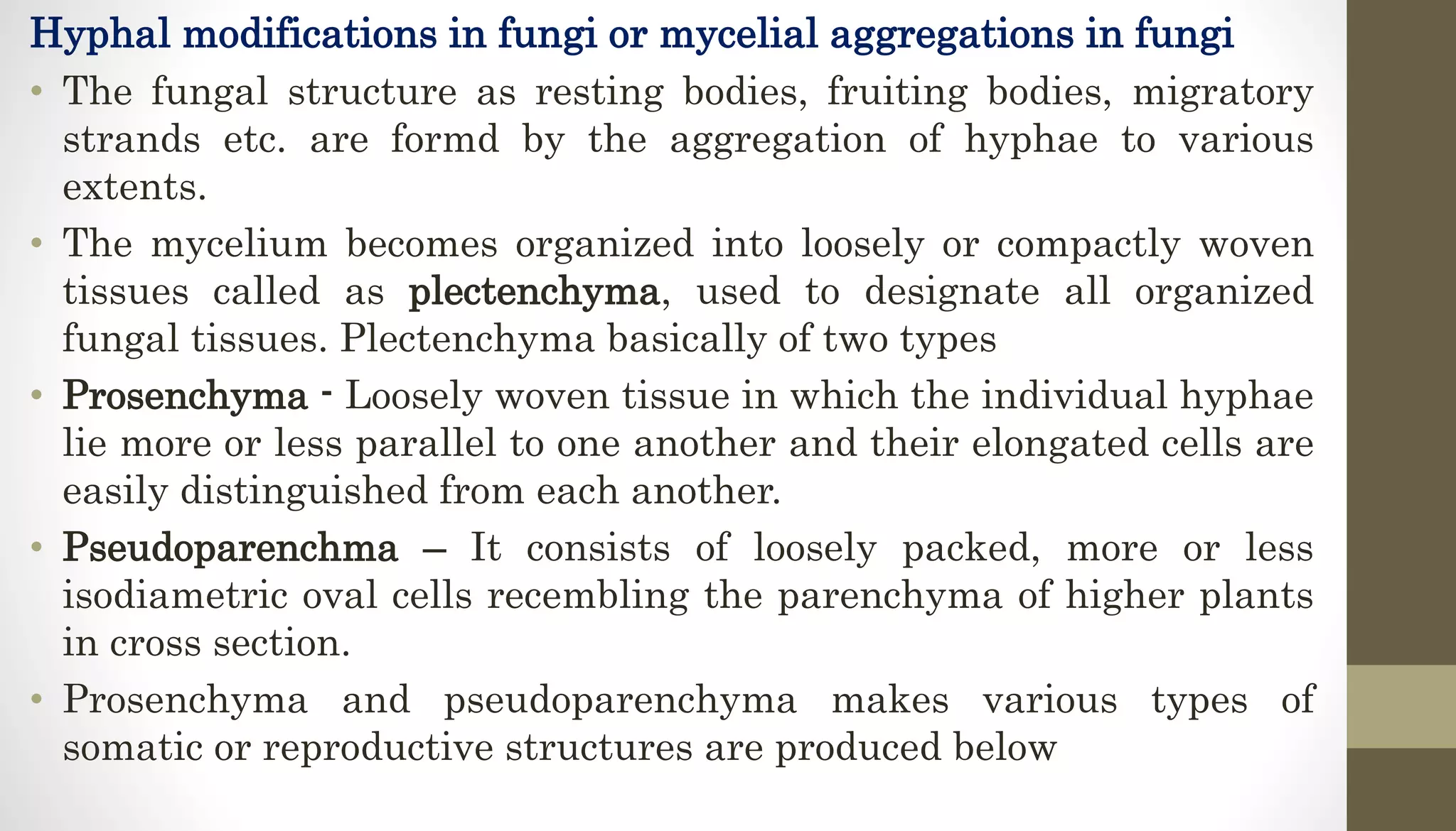 Hyphal modifications in fungi or mycelial aggregations in fungi
• The fungal structure as resting bodies, fruiting bodies, migratory
strands etc. are formd by the aggregation of hyphae to various
extents.
• The mycelium becomes organized into loosely or compactly woven
tissues called as plectenchyma, used to designate all organized
fungal tissues. Plectenchyma basically of two types
• Prosenchyma - Loosely woven tissue in which the individual hyphae
lie more or less parallel to one another and their elongated cells are
easily distinguished from each another.
• Pseudoparenchma – It consists of loosely packed, more or less
isodiametric oval cells recembling the parenchyma of higher plants
in cross section.
• Prosenchyma and pseudoparenchyma makes various types of
somatic or reproductive structures are produced below
 