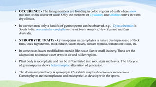 • OCCURENCE - The living members are founding in colder regions of earth where snow
(not rain) is the source of water. Only the members of Cycadales and Gnetales thrive in warm
dry climate.
• In warmer areas only a handful of gymnosperms can be observed, e.g., Cycas circinalis in
South India, Aracauria heterophylla native of South America, New Zealand and East
Australia.
• XEROPHYTIC TRAITS - Gymnosperms are xerophytes in nature due to presence of thick
bark, thick hypodermis, thick cuticle, scales leaves, sunken stomata, transfusion tissue, etc.
• In some cases leaves modified into needle-like, scale like or small leathery. These are the
adaptations to combat water stress in air and colder regions.
• Plant body is sporophytic and can be differentiated into root, stem and leaves. The lifecycle
of gymnosperms shows heteromorphic alternation of generation.
• The dominant plant body is sporophyte (2n) which may be dioecious or monoecious.
Gametophytes are inconspicuous and endosporic i.e. develop with the spores.
 