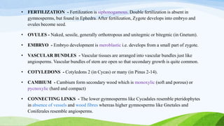 • FERTILIZATION - Fertilization is siphonogamous. Double fertilization is absent in
gymnosperms, but found in Ephedra. After fertilization, Zygote develops into embryo and
ovules become seed.
• OVULES - Naked, sessile, generally orthotropous and unitegmic or bitegmic (in Gnetum).
• EMBRYO - Embryo development is meroblastic i.e. develops from a small part of zygote.
• VASCULAR BUNDLES - Vascular tissues are arranged into vascular bundles just like
angiosperms. Vascular bundles of stem are open so that secondary growth is quite common.
• COTYLEDONS - Cotyledons 2 (in Cycas) or many (in Pinus 2-14).
• CAMBIUM - Cambium form secondary wood which is monoxylic (soft and porous) or
pycnoxylic (hard and compact)
• CONNECTING LINKS - The lower gymnosperms like Cycadales resemble pteridophytes
in absence of vessels and wood fibres whereas higher gymnosperms like Gnetales and
Coniferales resemble angiosperms.
 