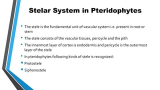 • The stele is the fundamental unit of vascular system i.e. present in root or
stem
• The stele consists of the vascular tissues, pericycle and the pith
• The innermost layer of cortex is endodermis and pericycle is the outermost
layer of the stele
• In pteridophytes following kinds of stele is recognized:
 Protostele
 Siphonostele
Stelar System in Pteridophytes
 
