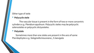 Other type of stele
• Polycycle stele
The vascular tissue is present in the form of two or more concentric
cylinders e.g. Pteridium aquilinum. Polycyclic steles may be polycyclic
solenosteles or polycyclic dictyosteles.
• Polystele
Sometimes more than one steles are present in the axis of some
Pteridophytes e.g. Selaginella kraussiana , S.laevigata
 