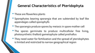 • These are flowerless plants
• Sporophytes bearing sporangia that are subtended by leaf like
appendages called sporophylls
• The sporangia produce spores by meiosis in spore mother cell
• The spores germinate to produce multicellular free living,
photosynthetic thalloid gametophyte called prothallus
• They need water for fertilization and the spread of pteridophytes
is limited and restricted to narrow geographical region
General Characteristics of Pteridophyta
 