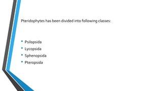 Pteridophytes has been divided into following classes:
• Psilopsida
• Lycopsida
• Sphenopsida
• Pteropsida
 