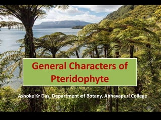 General Characters of
Pteridophyte
Ashoke Kr Das, Department of Botany, Abhayapuri College
 