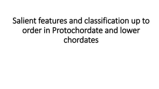 Salient features and classification up to
order in Protochordate and lower
chordates
 