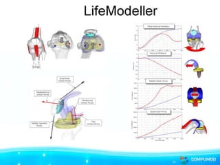 	Phoenix - ModelCentre