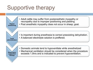 General considerations in large animal anesthesia | PPTX