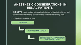 zANESTHETIC CONSIDERATIONS IN
RENAL PATIENTS
 KIDNEYS - An important pathway in elimination of high ionized drugs and
polar metabolites of drugs (which undergo biotransformation by liver)
 EXAMPLE- ketamine in cats
AZOTEMIA
LOW ALBUMIN LEVELS
DECREASED PLASMA PROTEIN
BINDING OF DRUG
 