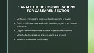 z
ANAESTHETIC CONSIDERATIONS
FOR CASEAREN SECTION
 Ventilation - increased to cope up with extra demand of oxygen
 Gastric motility - reduced leads to increased regurgitation and aspiration
pneumonia
 Oxygen -administered before induction to prevent foetal hypoxia
 Ultra short acting drugs are choicest agents e.g. propofol
 Ketamine is contraindicated in dogs
 