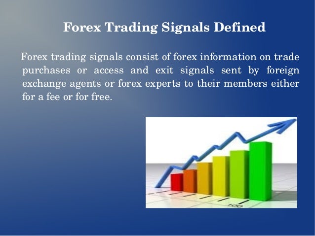 Forex trading heilige gral
