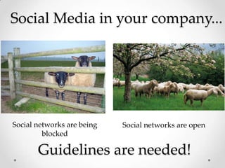 Social Media in your company... Social networks are being blocked Social networks are open Guidelines are needed! 