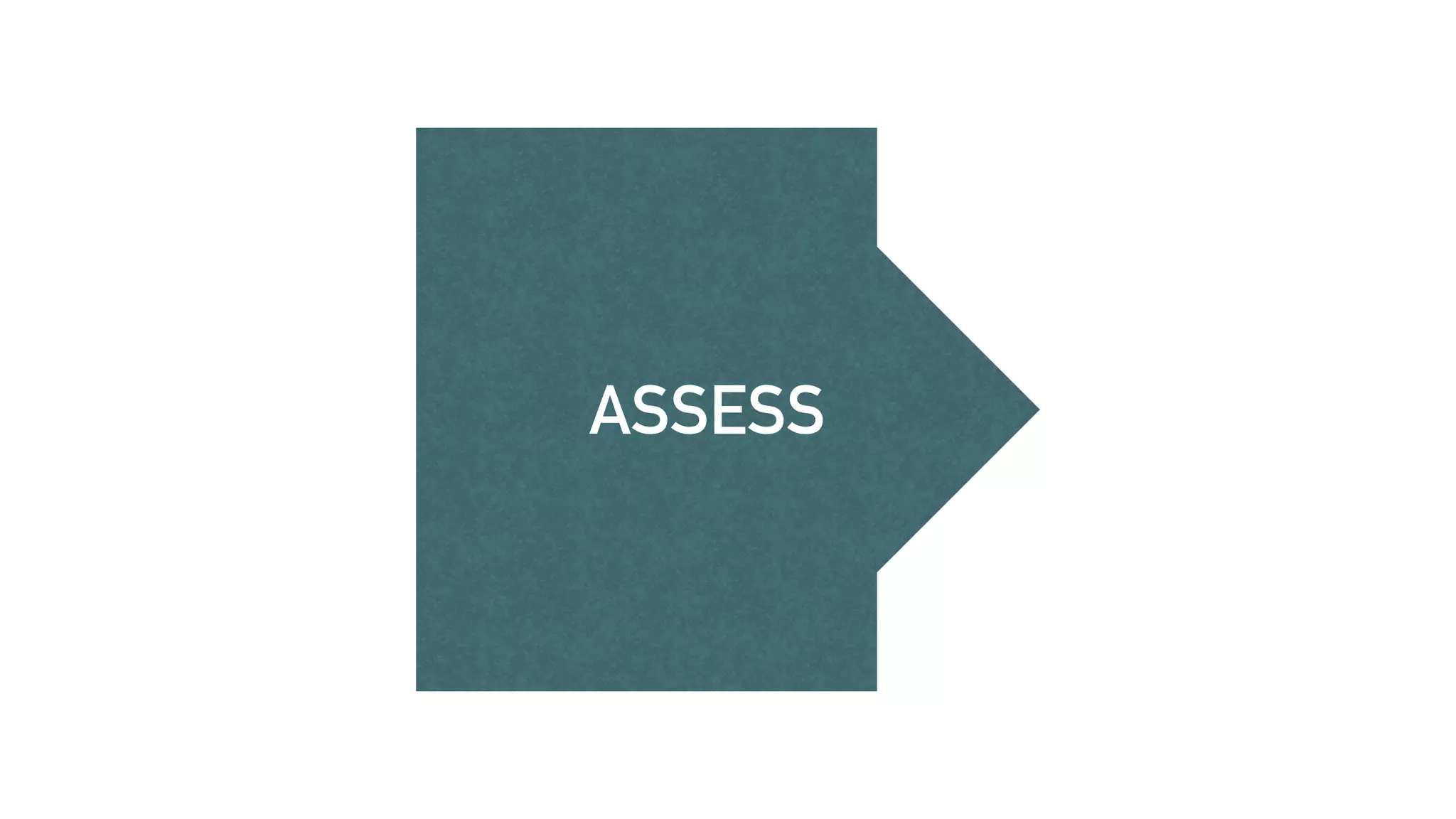ASSESS
 