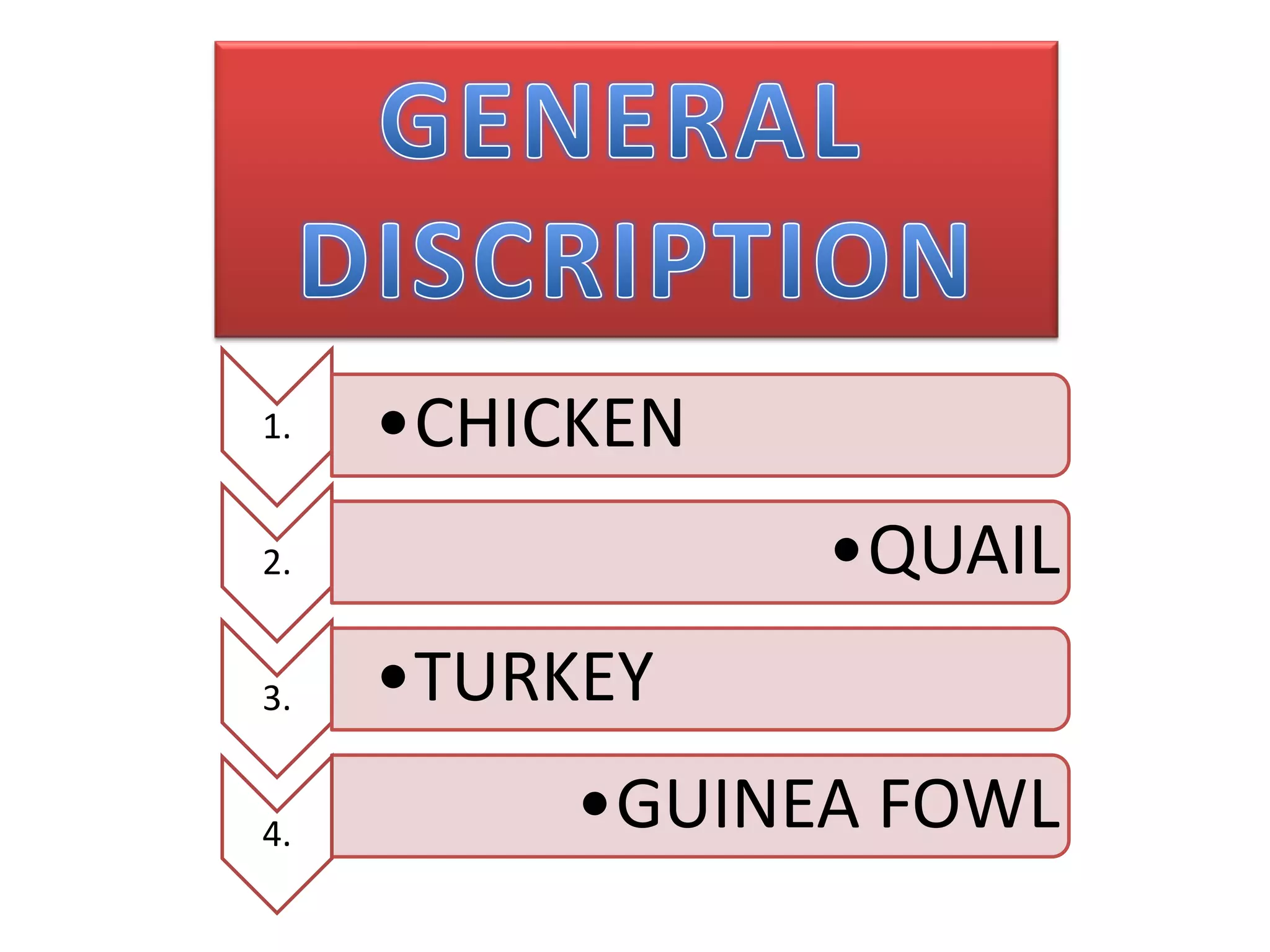 1. •CHICKEN
2. •QUAIL
3. •TURKEY
4. •GUINEA FOWL