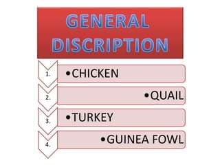 1.   •CHICKEN
2.              •QUAIL
3.   •TURKEY
4.        •GUINEA FOWL
 