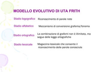 MODELLO EVOLUTIVO DI UTA FRITH
Stadio logografico
Stadio alfabetico
Stadio ortografico
Stadio lessicale
Riconoscimento di parole note
Meccanismo di conversione grafema/fonema
La combinazione di grafemi non è illimitata, ma
segue delle legge ortografiche
Magazzino lessicale che consente il
riconoscimento delle parole conosciute
 